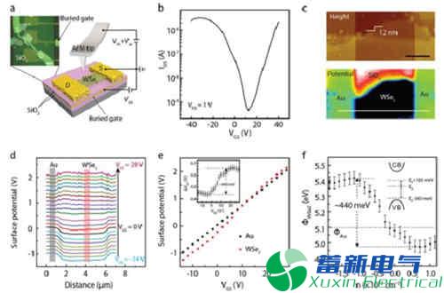 WSe2晶體管的雙極性輸運(yùn)行為和他在模擬電路中的應(yīng)用